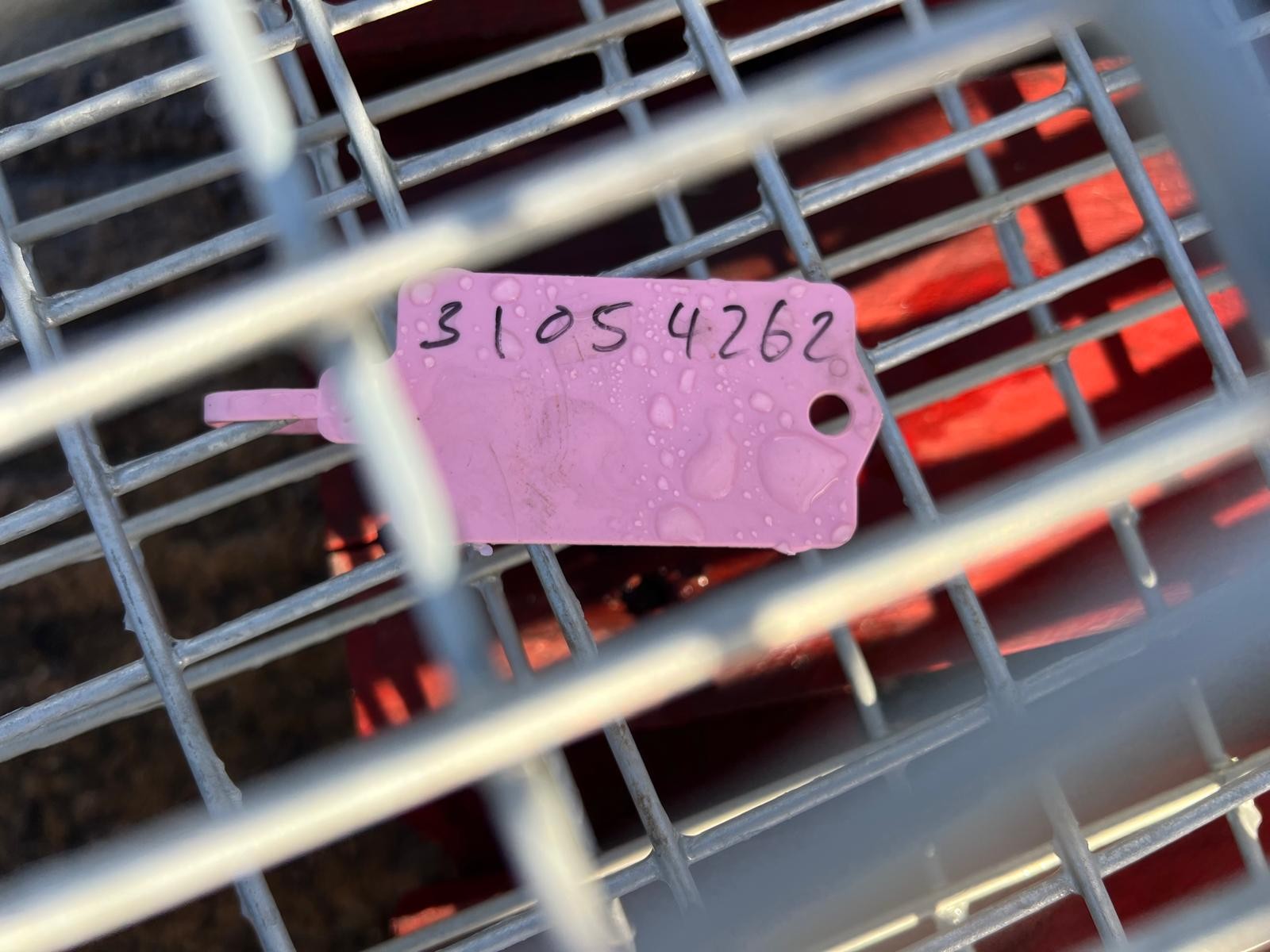 2023 trailer for sale in Littleport, Cambridgeshire — photo 4